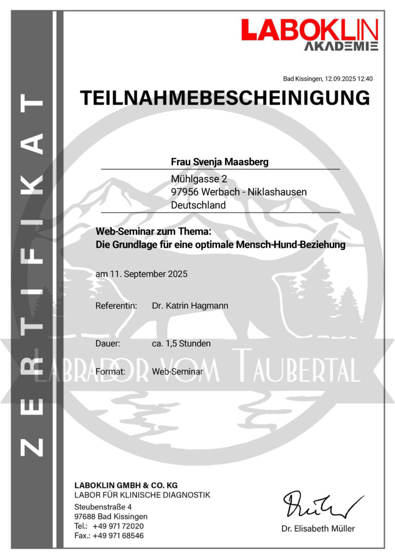 ZertifikatSchulungMenschHundBeziehung